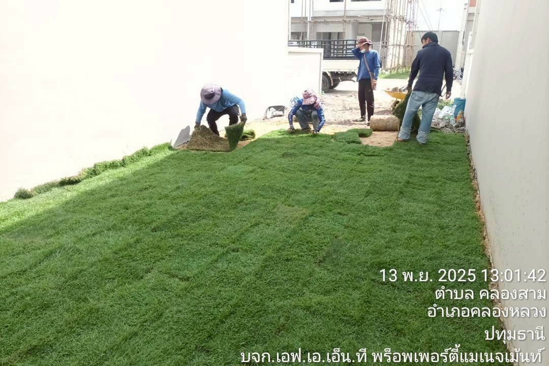 garden renovate