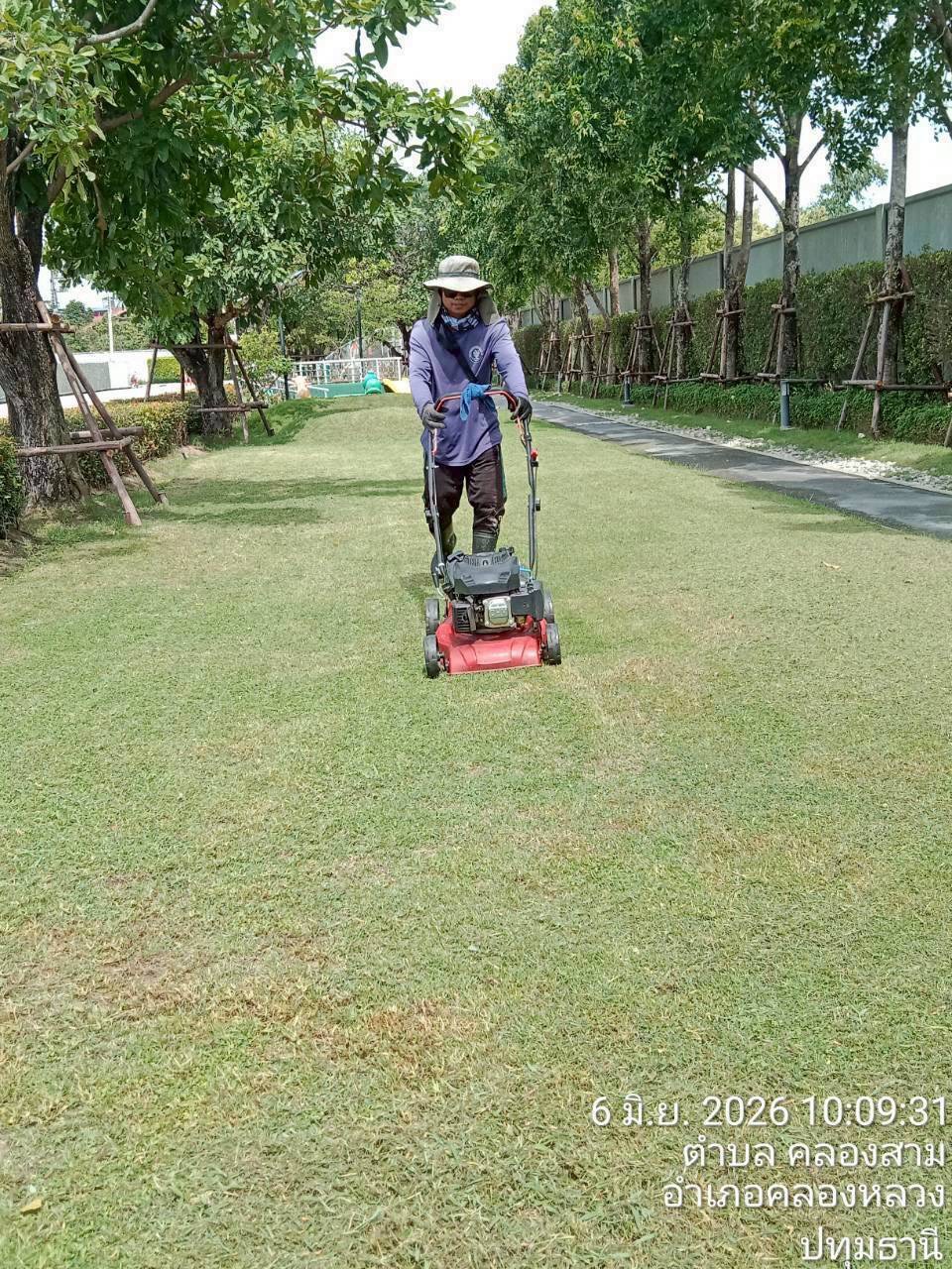 garden sweep